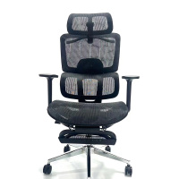 大嘉人体工学网布办公转椅