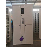 三森沃8门指纹储物柜单个柜体尺寸1800*850*460*2个(主柜+副柜)