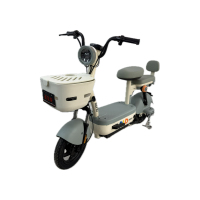 圣宝龙(小豆芽)48V轻便电动车 TDT1125Z 带靠背和车篓 可上武汉牌照 可定制