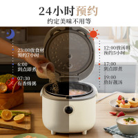 小熊(Bear)电饭煲 2~3人迷你小容量智能预约 多功能微压柴火元釜内胆2L 电饭锅 DFB-B20A1