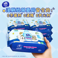 维达VW3425湿厕纸 家庭装 80片/包