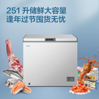TCL冷柜BD/BC-251AQDA冷藏冷冻转化冷柜一级能效开卧式冰柜