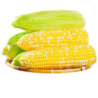 玉米 500 g