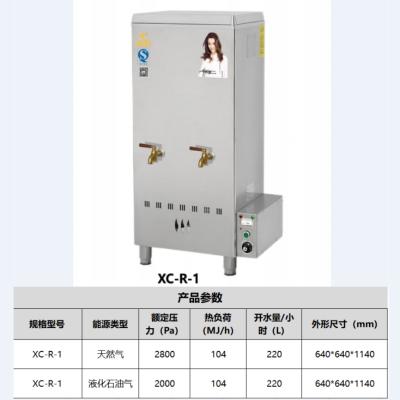 溢香香厨 商用全自动燃气开水器(液化气)220L XC-R-1