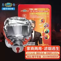 淮海 防毒面具消防面罩防烟防火面罩3C认证逃生过滤式自救呼吸器 TZL30