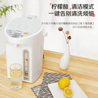 松下(Panasonic)食品级涂层内胆电热水瓶 白色4升一键除氟全自动智能保温烧水壶电热水瓶NC-EK4000
