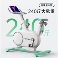 西屋(WESTINGHOUSE)动感单车WBWB13D PLUS动感单车家用运动器材