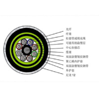 ZTT中天GYTA层绞式光缆36芯