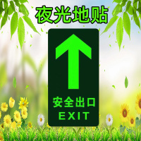 水龙珠(SHUILONGZHU)标识牌自发光 pvc箭头耐磨地贴墙贴145*295标识(一包10个装)花色可联系客服选配