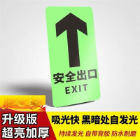 水龙珠(SHUILONGZHU)标识牌自发光pvc箭头耐磨地贴墙贴200*400标识(一包5个装)花色可联系客服选配