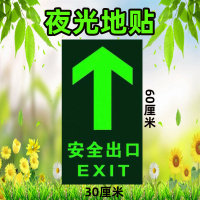 水龙珠(SHUILONGZHU)标识牌自发光pvc箭头耐磨地贴墙贴200*400标识(一包5个装)花色可联系客服选配