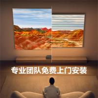 海信(Hisense)星光S1Pro 100英寸 家庭影院 大屏护眼 含安装