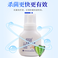 澳丽本(AOLIBEN) 抗菌消毒洗手液(300ml/瓶) 20瓶/件