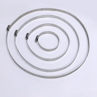 水龙珠(SHUILONGZHU) 不锈钢抱箍圈 直径300mm 宽12mm ( 10个起订)