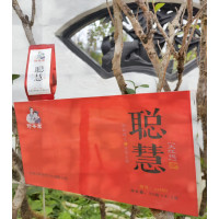 野茶君 茶叶 大红袍(聪慧)166g