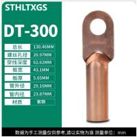 STHLTXGS 紧固配件-铜鼻子DT300mm(单位:个)适用于接线排紧固衔接