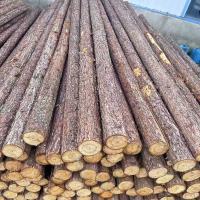 STHLTXGS 防腐圆木13mm×7米 用于广告牌交通脚手架安装搭建