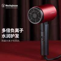 西屋 (Westinghouse) 电吹风 H204