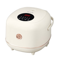 炊大皇微电脑电饭煲CDH-FB0531