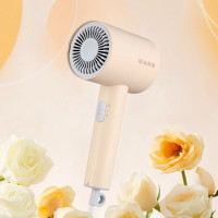 尚朋堂 电吹风SPT-CF800-K30香槟粉