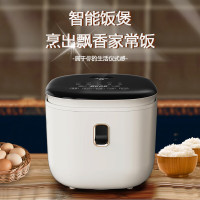 创维 电饭煲F625