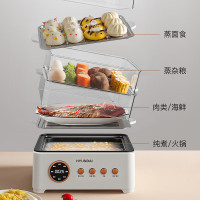 HYUNDAI韩国现代 多功能家用大容量蒸蛋器蒸汽锅电蒸笼蒸箱可视早餐机 AEM-DZG6-20L