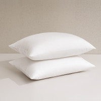 水星家纺DH思梦抗菌对枕 130552