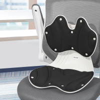 佳奥 动感护腰椅(适用于120斤内)