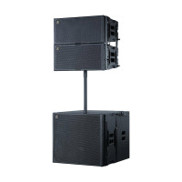 志高(CHIGO)豪华高档双10寸主扩声线阵音箱