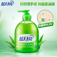 蓝月亮 芦荟抑菌洗手液500g 清洁抑菌99.9% 2瓶装