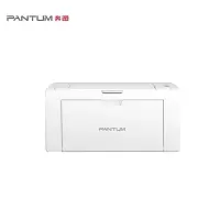 奔图 黑白激光打印机 P2555 A4单功能打印机 USB连接打印机 支持PC端打印状态监视