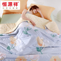 恒源祥 花外 全棉夏被 200*230cm 300g 袋装HYX189BZ-DZ