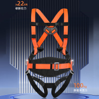 君御 FP-D2全身式安全带(带护腰)