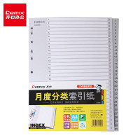 齐心 IX899 易分类月度索引纸 A4 31页 1-31 11孔 PP 灰