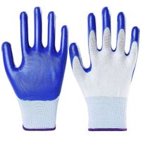 理念十三针尼龙丁晴清洁手套 白兰10付 均码