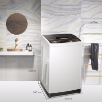 海尔(Haier)波轮洗衣机8公斤直驱变频XQB80-BZ1269