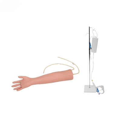 高级老年人静脉穿刺训练手臂模型 RM/S13