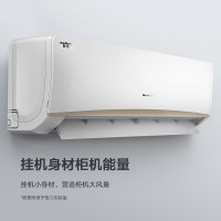 格力1.5匹 挂式空调 KFR-35GW/(35563)FNhAa-B3JY01(含安装)