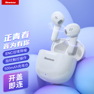 纽曼(Newmine)TWS蓝牙耳机ENC降噪5.1蓝牙40小时续航L6