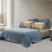 水星家纺 薇蓝物语可水洗云朵柔绒毯M 180*200cm