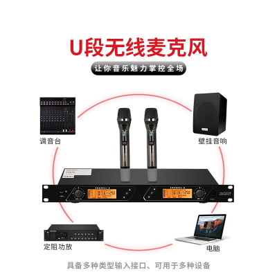 川利卡(CLK)-E203D一拖二手持话筒单位:对