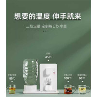 勇夺 DY-203宜品即热式饮水机台式4小型便携2式速热家用桌面开直饮