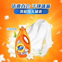 汰渍Tide2合1洗衣液洁净洁雅百合熏香装瓶装袋装家庭装去渍无残留 洁雅百合2kg
