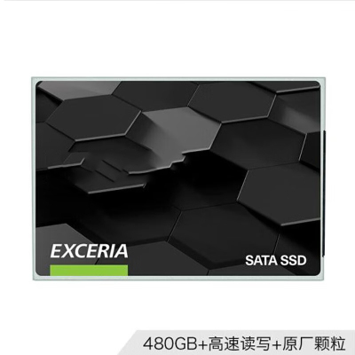 勇夺 固态硬盘 SATA TC10 高 960GB/1TB