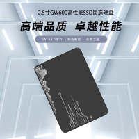 希捷 SSD固态硬盘 SATA3.0接口 2.5英寸GW600光影系列SATA 3.0-512GB