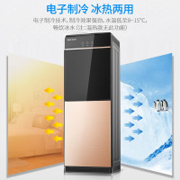 奥克斯(AUX) 饮水机家用立式办公双开门柜式快速加热饮水器 旗舰款[轻奢黑金冷热] 冷热型