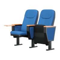 NHZHIW金属礼堂椅会议室连排椅报告厅座椅带写字板 淡蓝色+原木色 黑色金属底座7/1