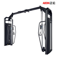 正伦 CS-826 多功能十字交叉训练器