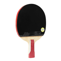 信易安6星级乒乓球拍专业红六星纯木双反胶进攻型 H6006红六星直拍短柄+拍套