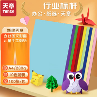 新绿天章P5206色卡纸A4/230g/十色 100张/包(包)DX